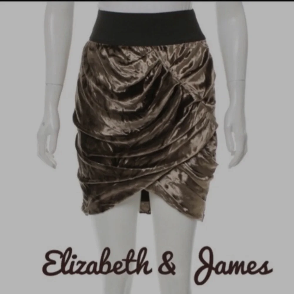 Elizabeth and James Velvet skirt size 4